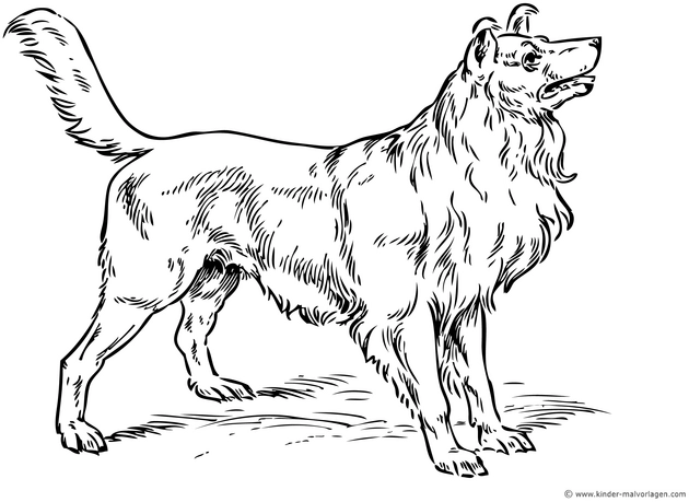 hund-malen-aufmalvorlagen-kreativ-gestalten