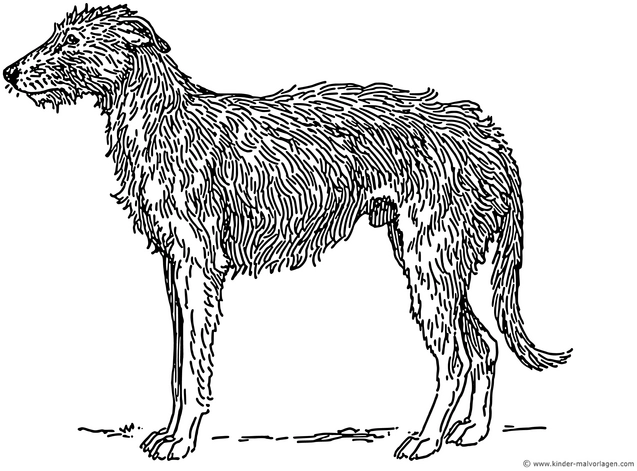 hund-malvorlage-hund-in-skizzenhaftem-stil