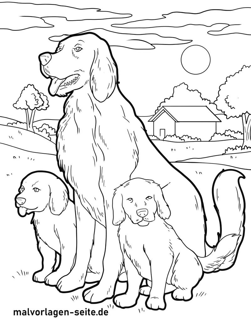 hund-und-welpen-in-der-natur