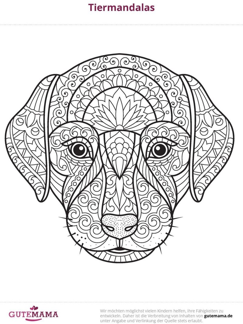 hundemotiv-im-mandala-stil-malvorlage