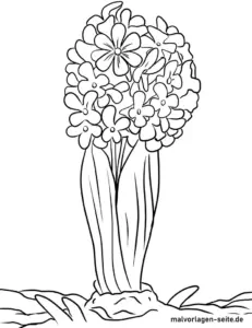 hyazinthe-ausmalvorlage-blumen-fruehling
