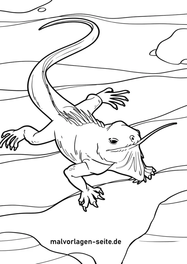 iguana-in-natur-ausmalvorlage