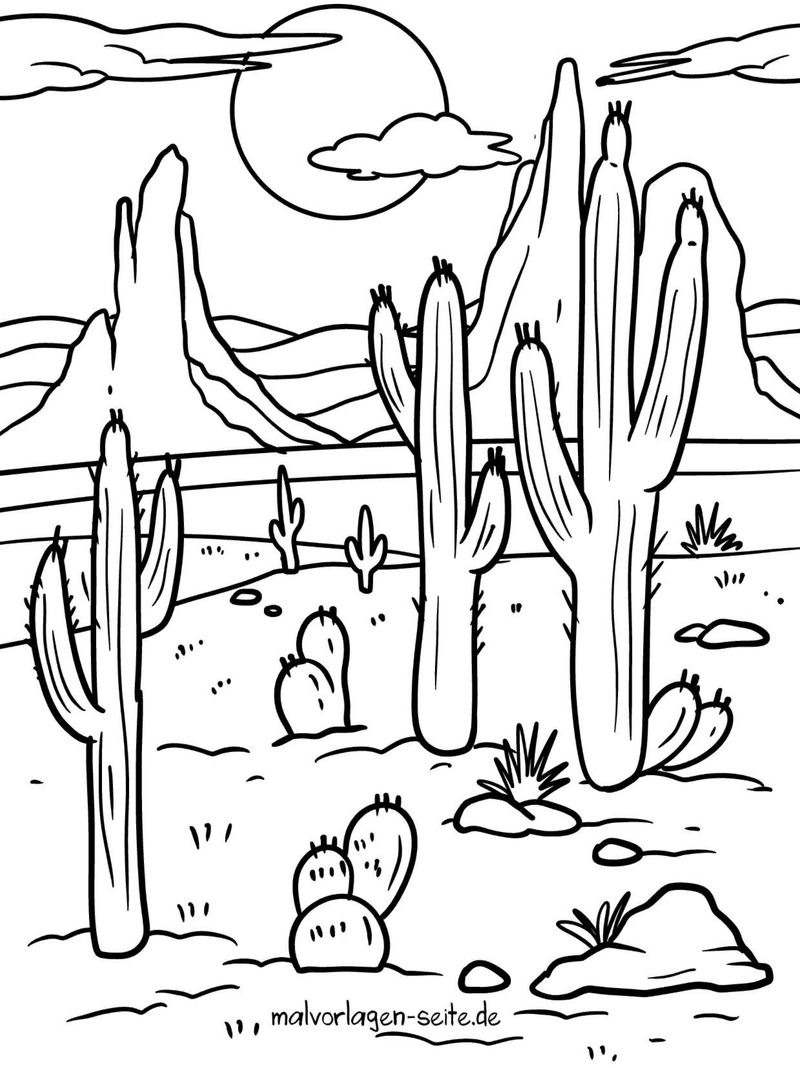 kaktuslandschaft-im-wilden-westen