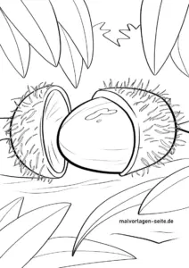 kastanie-ausmalbild-fuer-kinder