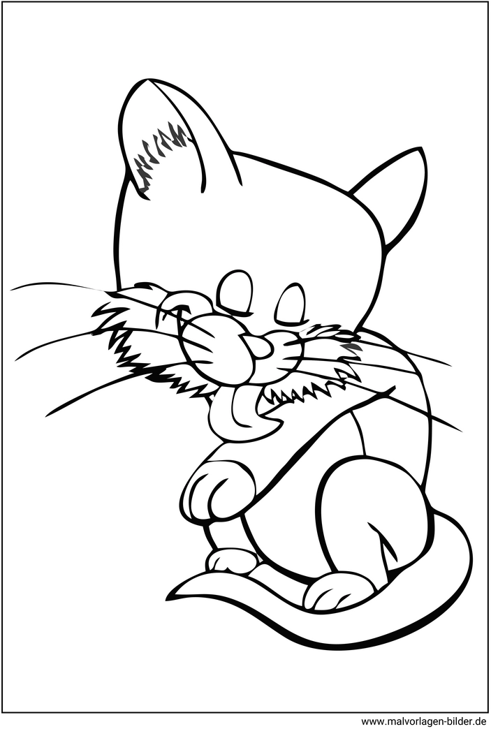 katze-beim-putzen-malvorlage