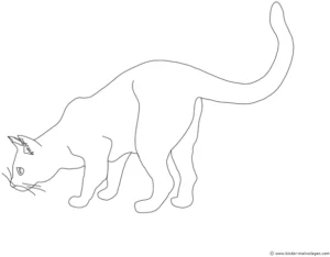 katze-geduckt-ausmalvorlage