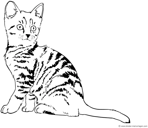 katze-mit-streifen-ausmalvorlage