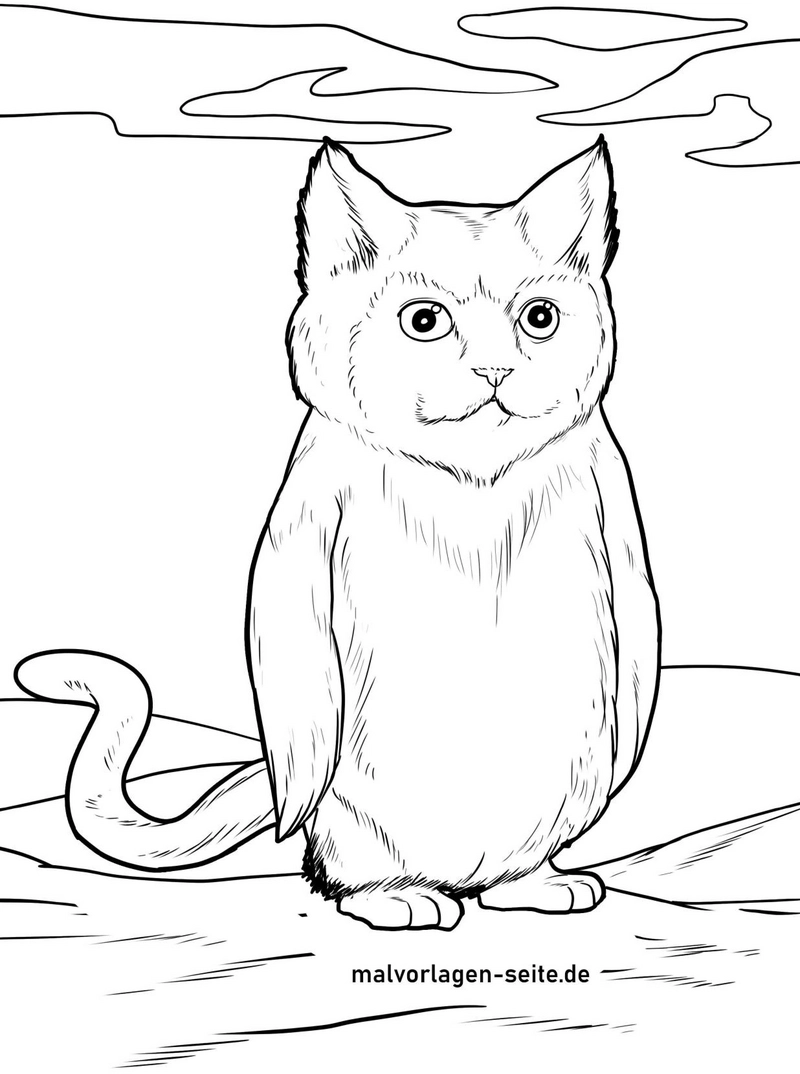 katze-pinguin-ausmalvorlage