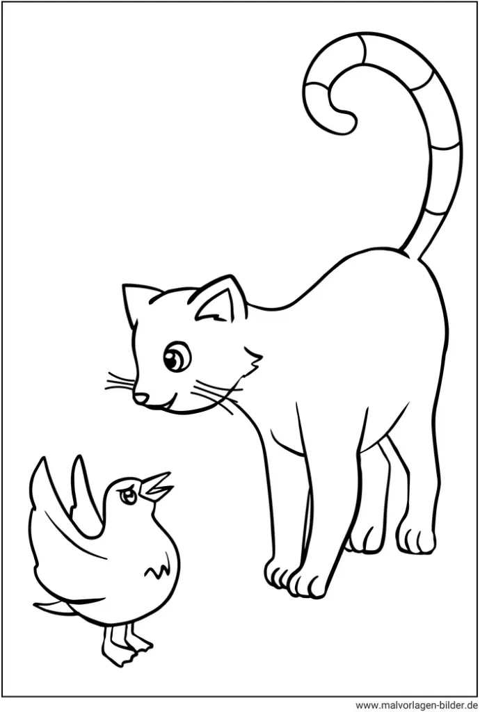katze-und-vogel-ausmalbild