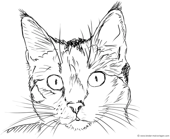 katzenkopf-malvorlage-ausmalen