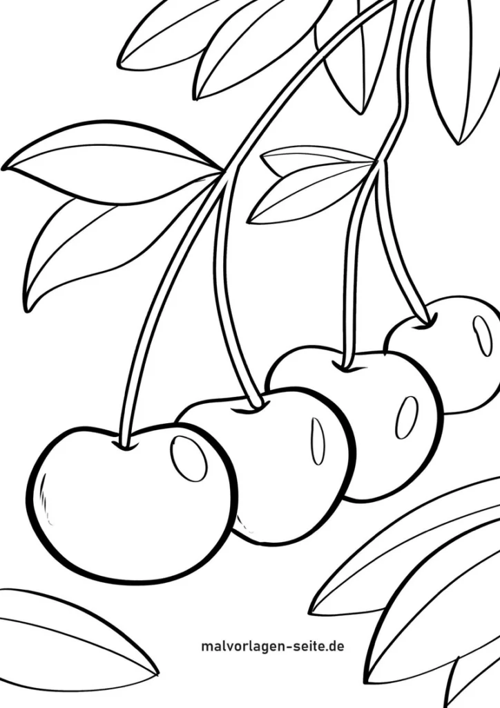 kirschen-am-ast-ausmalvorlage