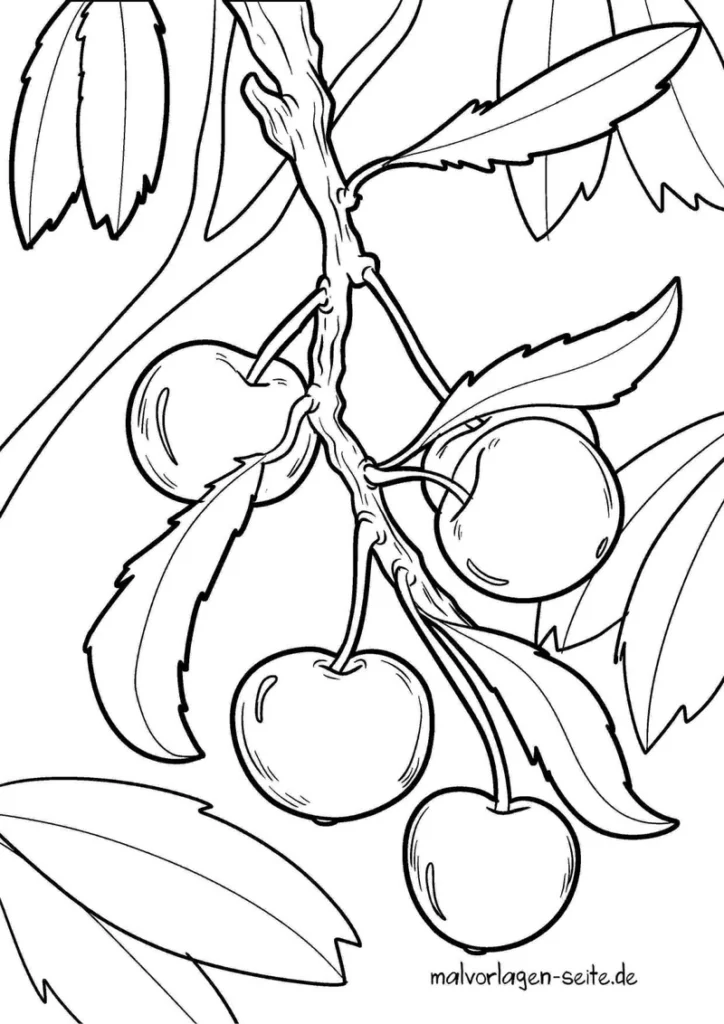 kirschen-an-einem-ast-mit-blaettern