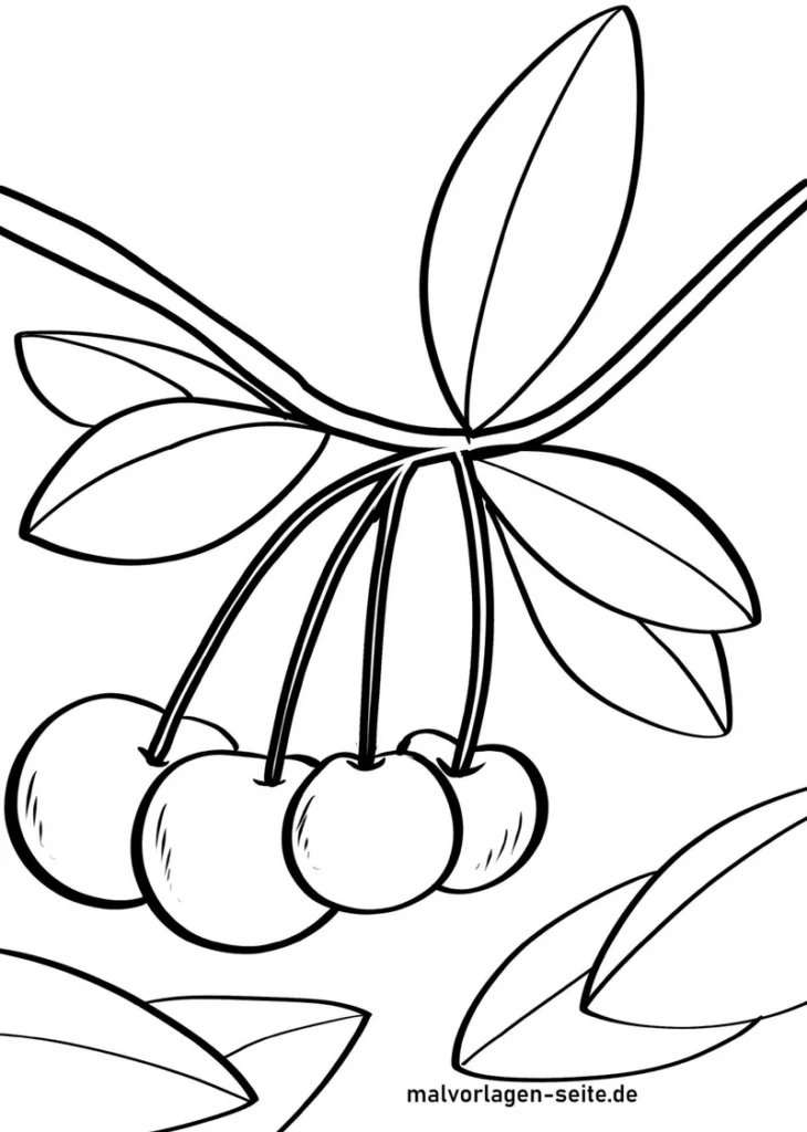 kirschen-und-blaetter-malvorlage