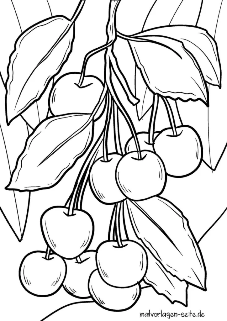 kirschenzweig-mit-fruechten-und-blaettern