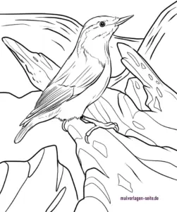 kleiber-vogel-in-der-natur-ausmalen