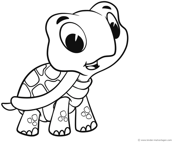 kleine-schildkroete-ausmalvorlage