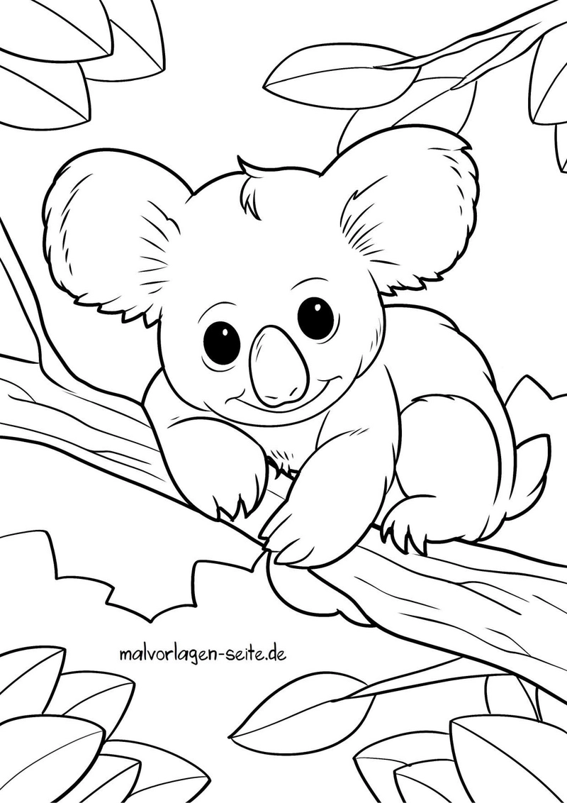 koala-auf-baum-ausmalvorlage