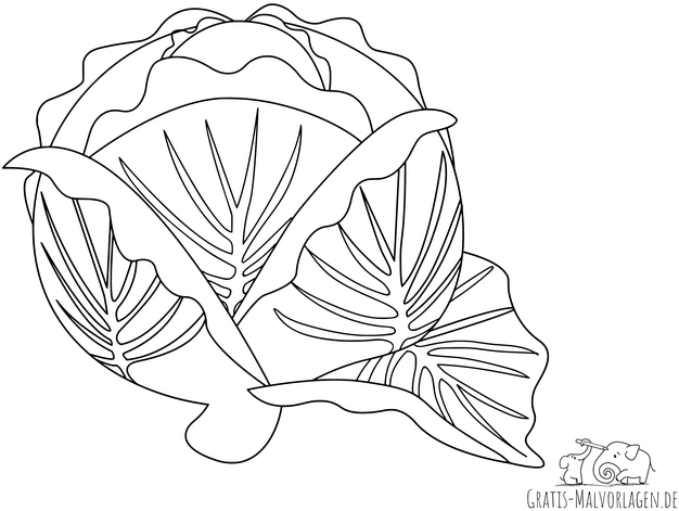 kohlkopf-ausmalvorlage-fuer-kinder