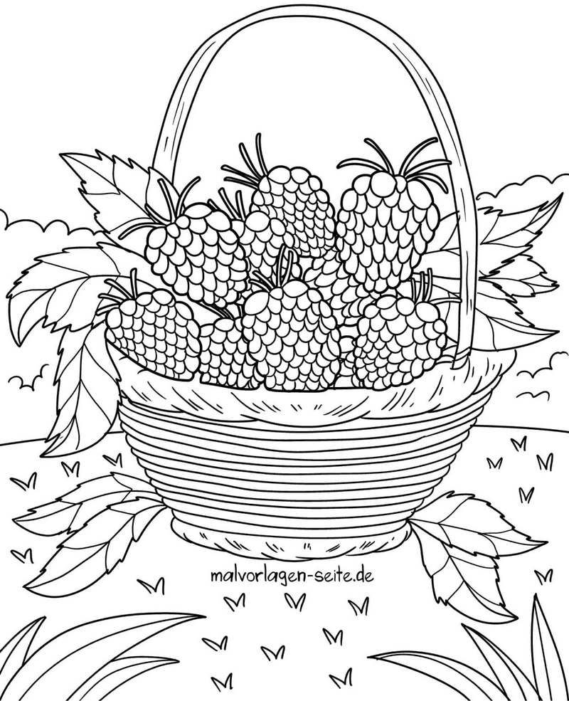 korb-mit-himbeeren-ausmalvorlage