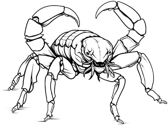 krabben-malvorlage-ausmalbilder-fuer-kinder