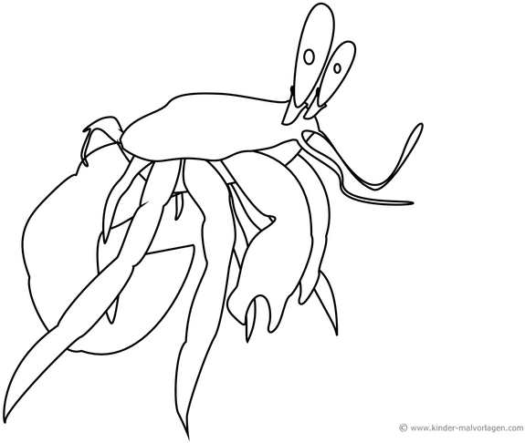krebs-malen-ausmalvorlage-krebs