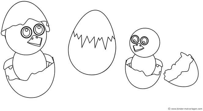 kueken-aus-eiern-schluepfen