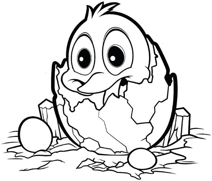 kuemmel-kueken-aus-dem-ei-malen