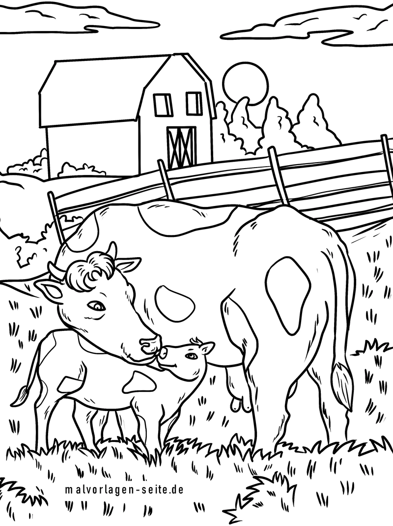 kuh-und-kalb-auf-dem-bauernhof