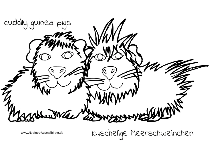 kuschelige-meerschweinchen-ausmalvorlage