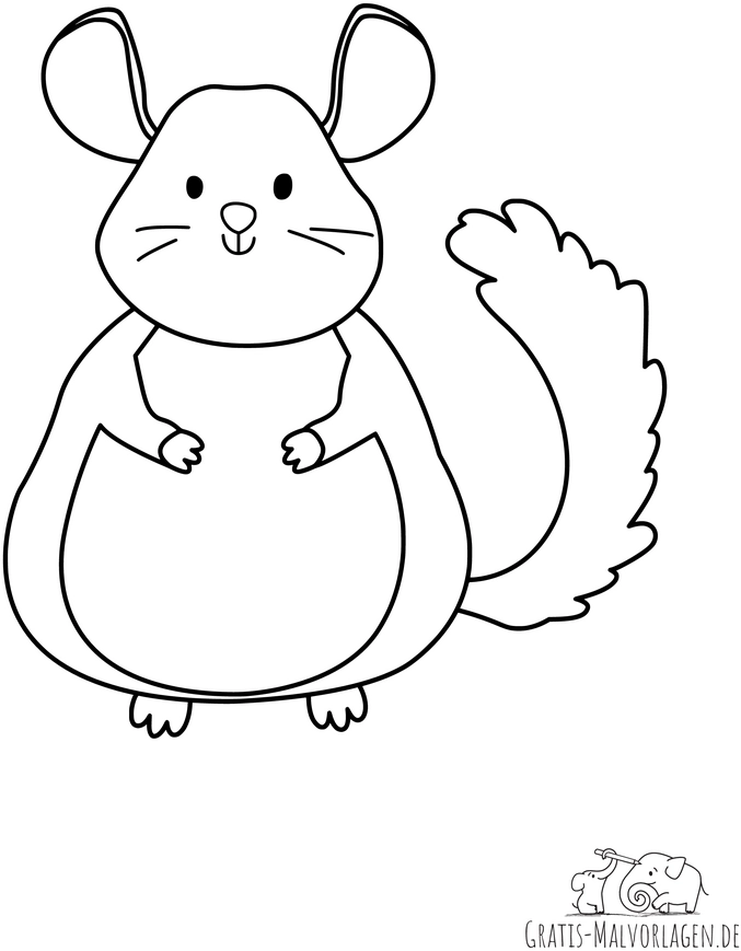 laechelndes-chinchilla-zum-ausmalen