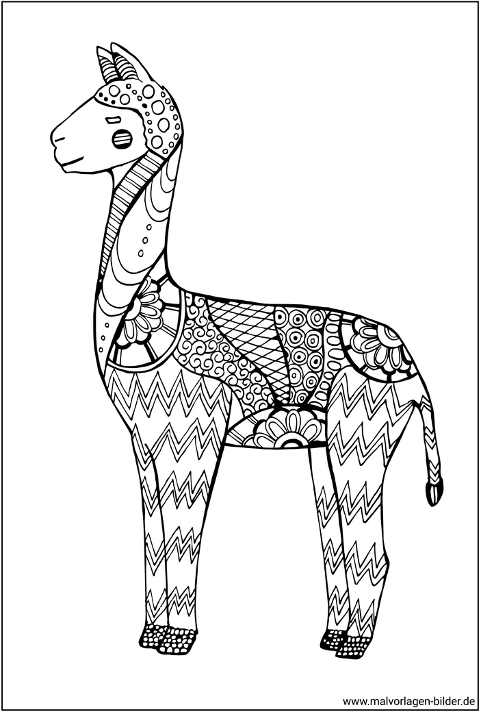 lama-ausmalbild-kreative-muster-erwachsene