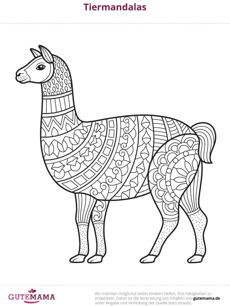 lama-im-mandala-stil-ausmalvorlage