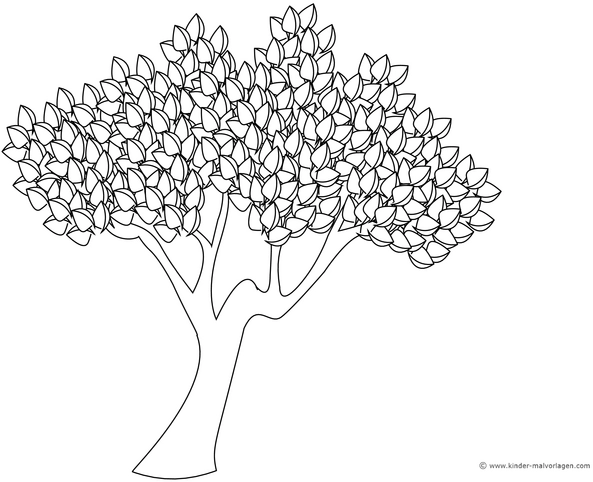 laubbaum-malen-ausmalvorlage