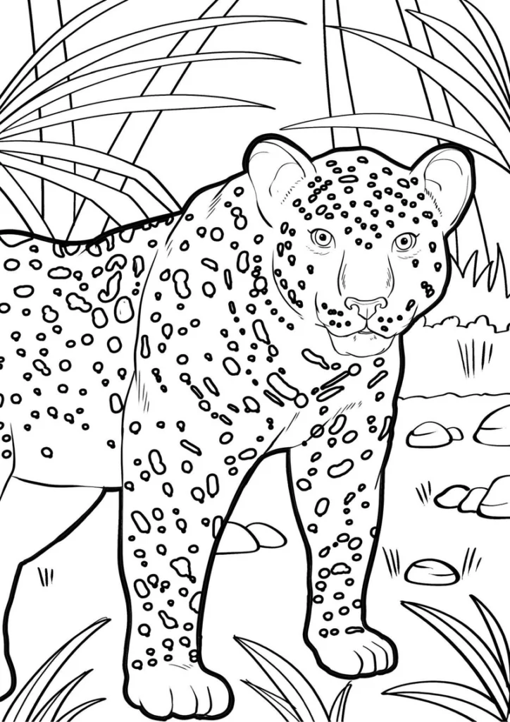 leopard-in-der-natur-ausmalvorlage