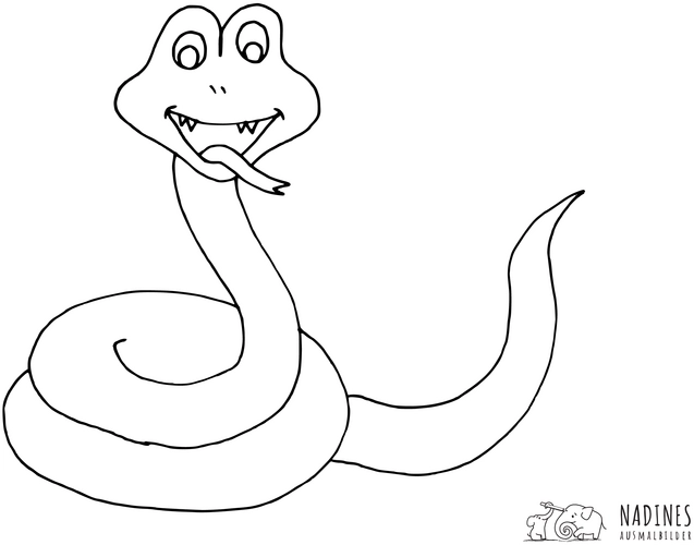 lustige-schlangen-mit-sympathischem-gesicht