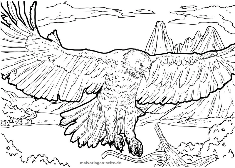 malvorlage-adler-im-flug-mit-berglandschaft