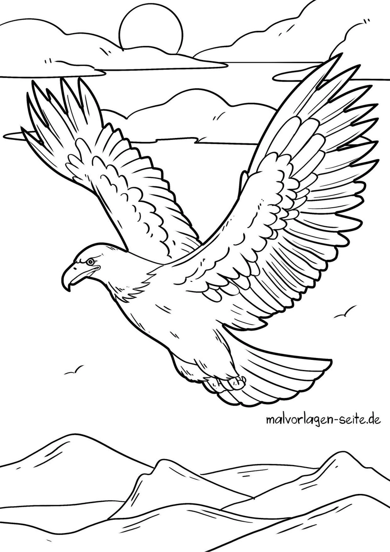 malvorlage-adler-im-flug-ueber-berge
