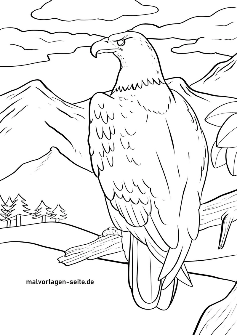 malvorlage-adler-majestetische-berglandschaft
