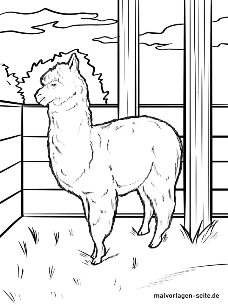 malvorlage-alpaka-in-der-natur