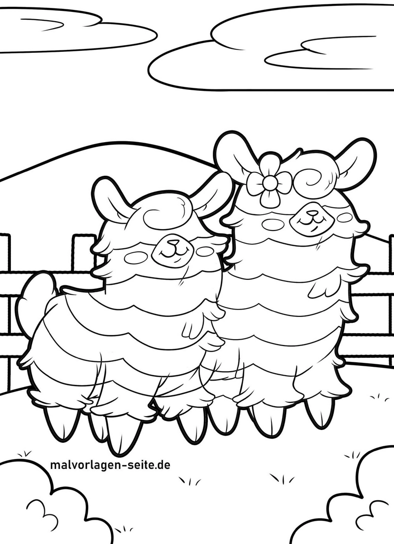 malvorlage-alpakas-im-gruenen-und-blumen