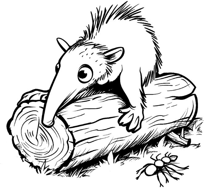 malvorlage-ameisenbaer-auf-baumstamm-mit-ameisen