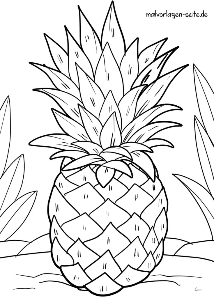 malvorlage-ananas-frucht-ausmalen