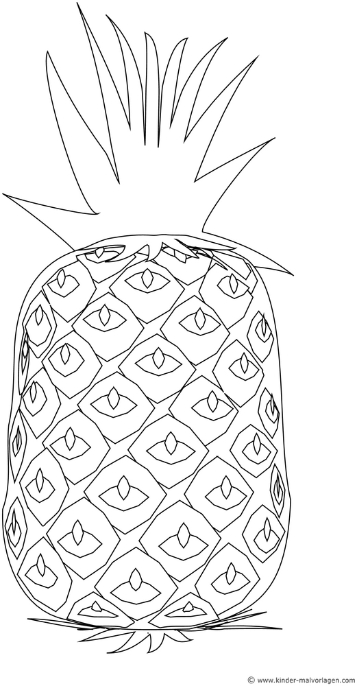 malvorlage-ananas-mit-interessanten-details