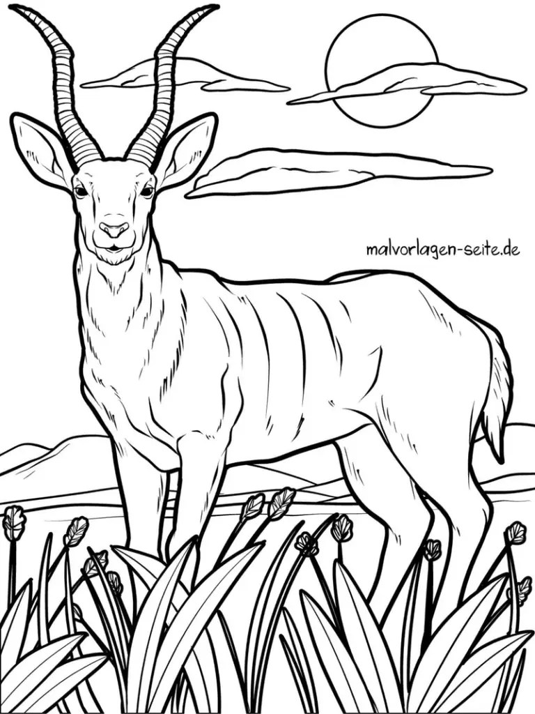 malvorlage-antilope-in-der-natur