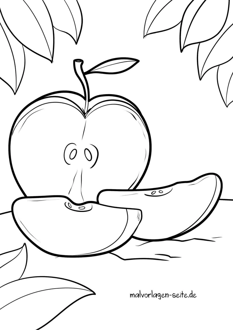 malvorlage-apfel-mit-geschnittenen-stuecken-und-blaettern