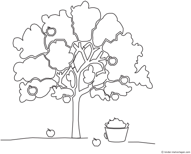 malvorlage-apfelbaum-mit-eimer-und-aepfeln