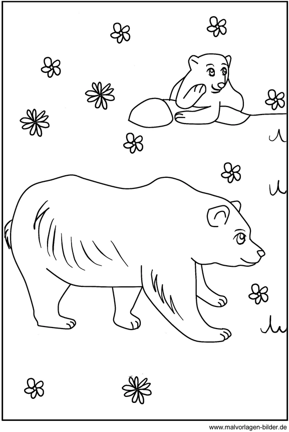 malvorlage-baeren-blumen-und-wasser