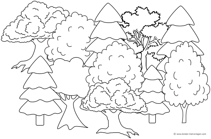malvorlage-baeume-ausmalen-fuer-kinder