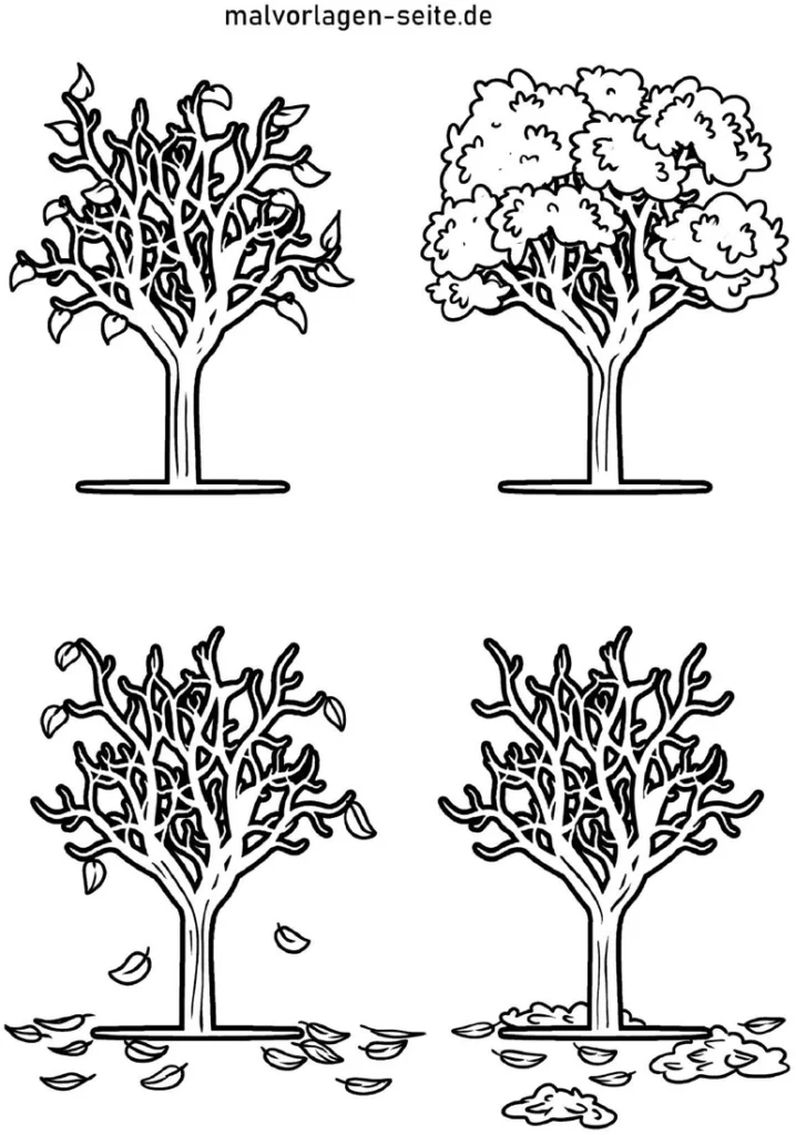 malvorlage-baeume-jahreszeiten-ausmalen