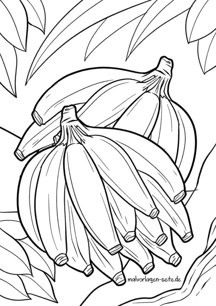 malvorlage-bananen-an-einem-baum